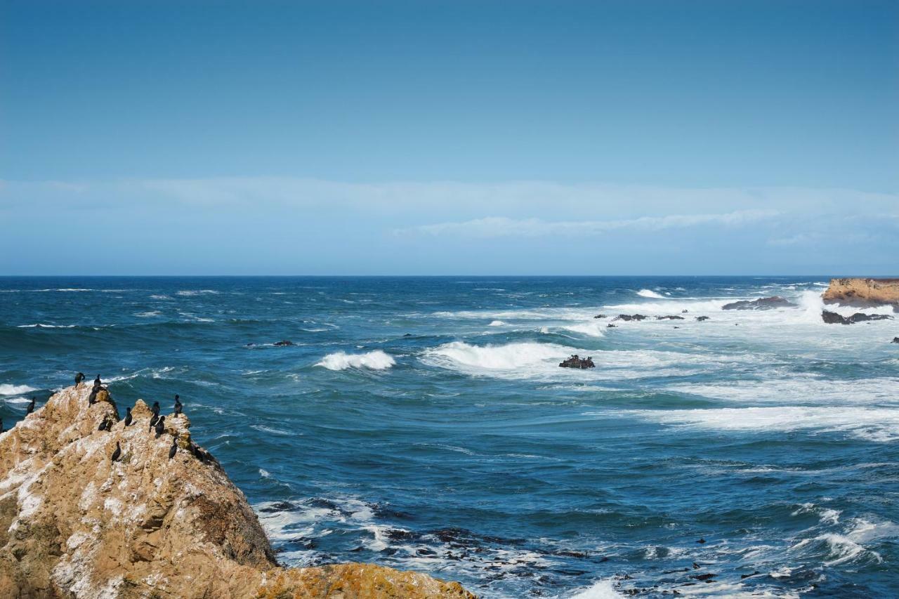 Ocean Breeze Villa Fort Bragg Kültér fotó